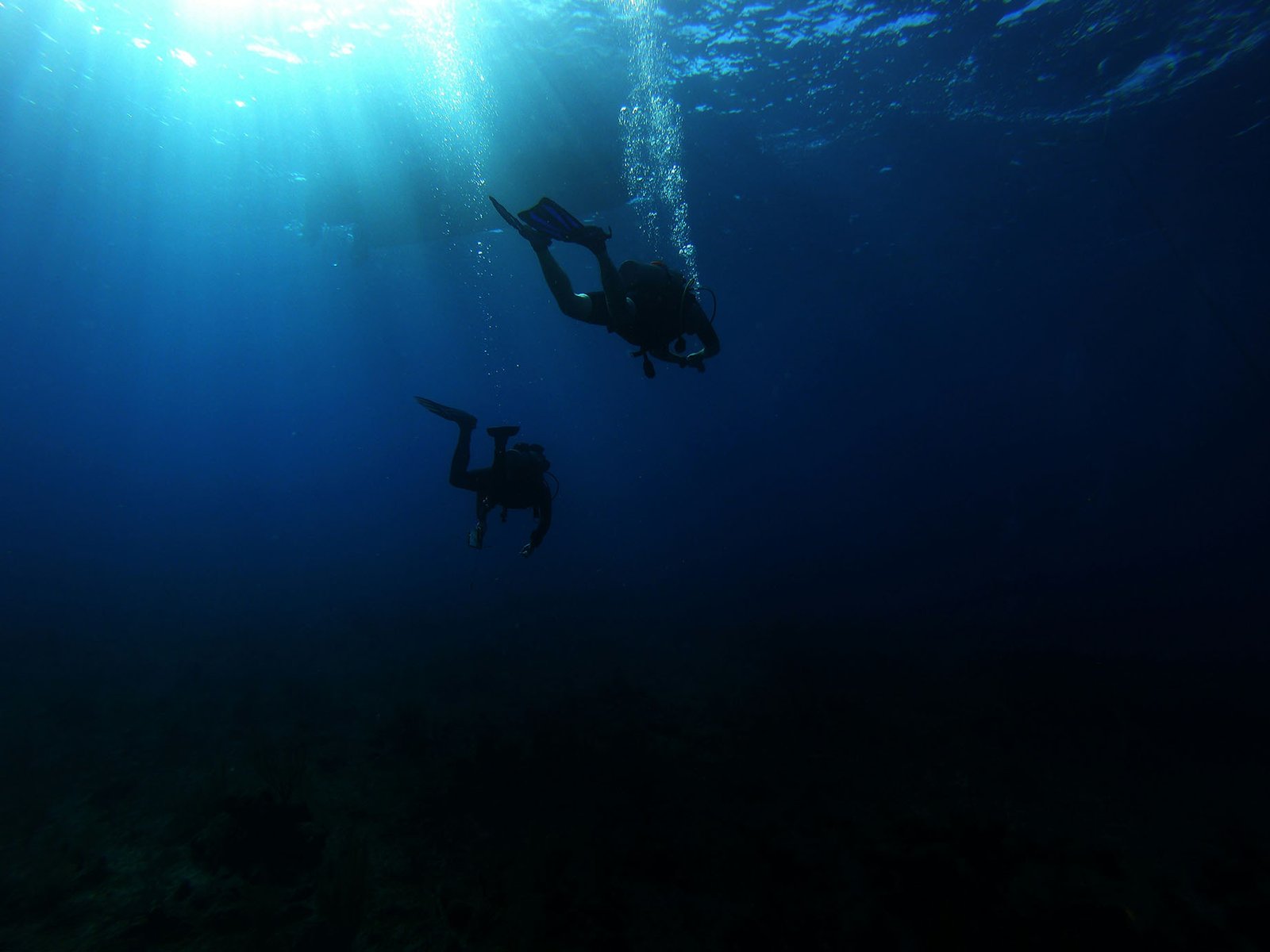 diving-caymanislands